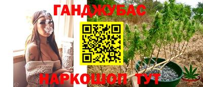 мяу мяу мука Краснодар